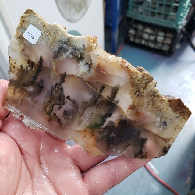 Graveyard Point Plume Agate Slab