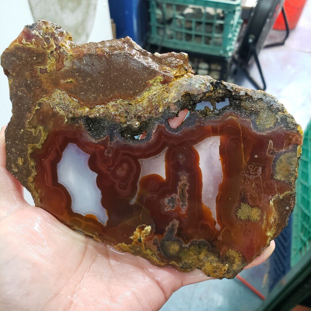 Laguna Agate Slab