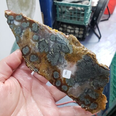 Indonesian Marcasite Slab