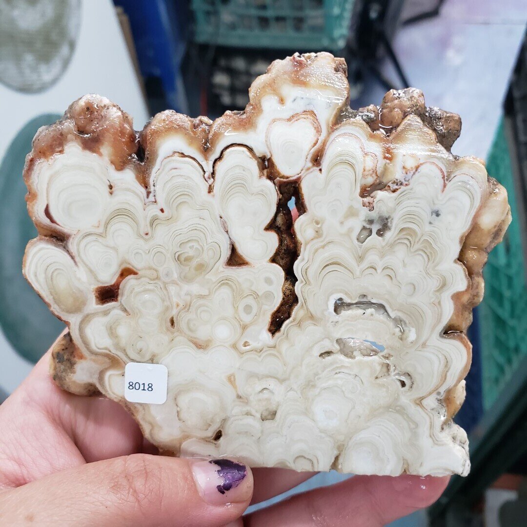 Kokoweef Cave Onyx Slab