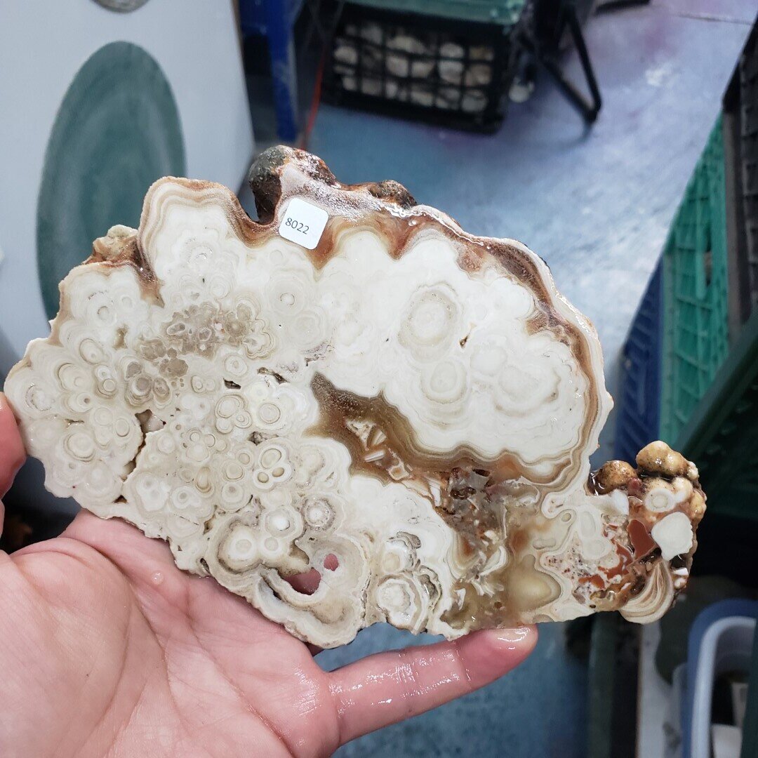 Kokoweef Cave Onyx Slab