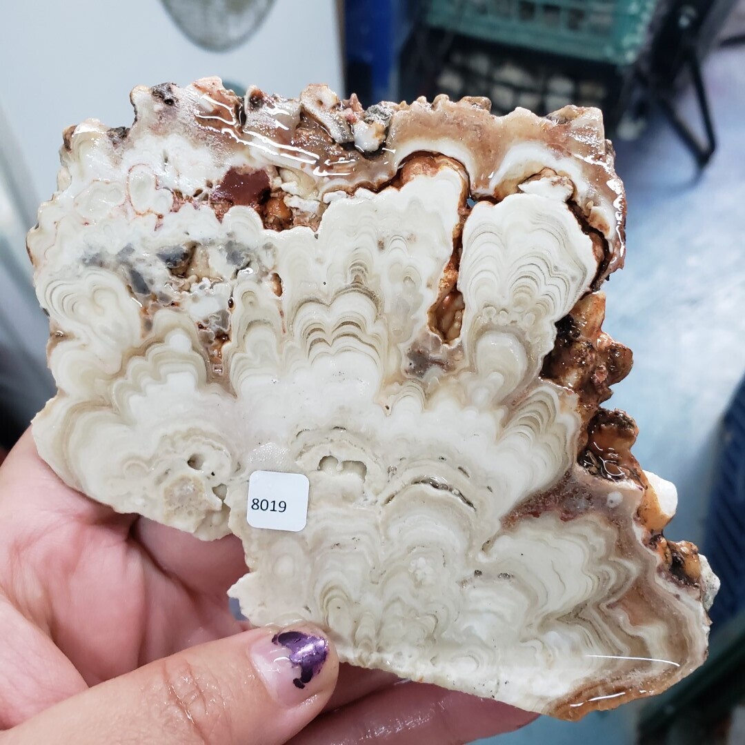 Kokoweef Cave Onyx Slab
