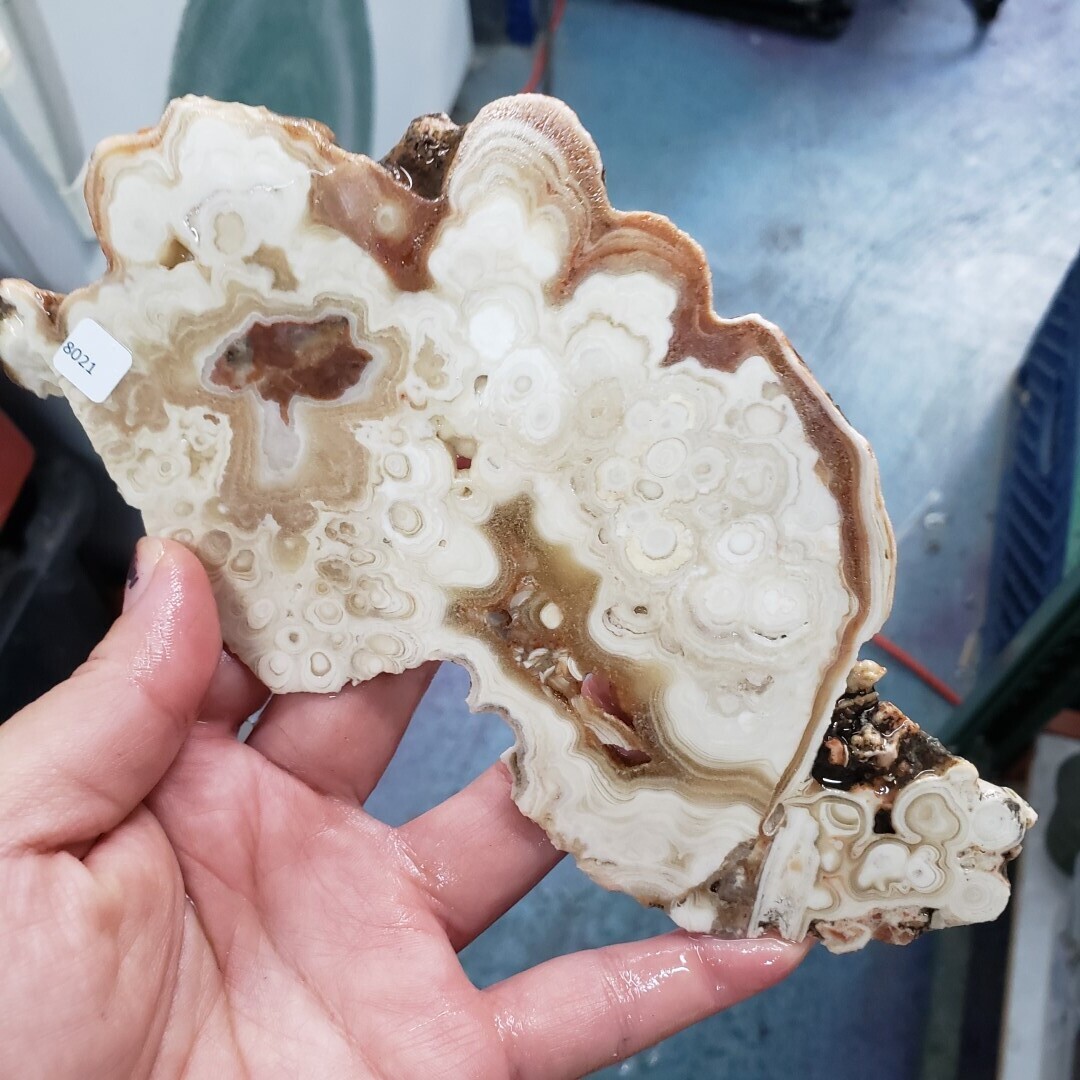 Kokoweef Cave Onyx Slab