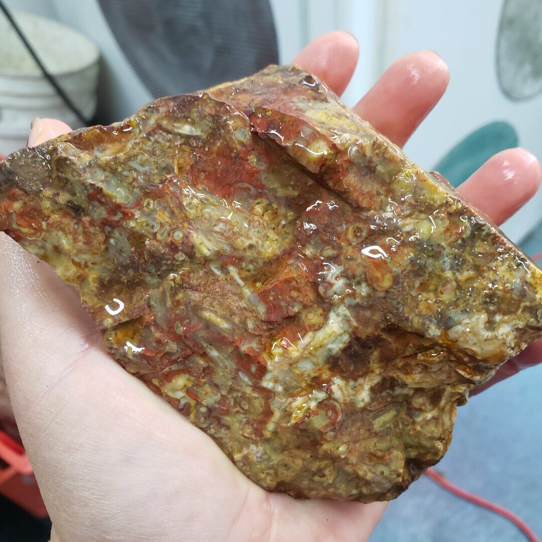 Indonesian Red Palm Root Rough