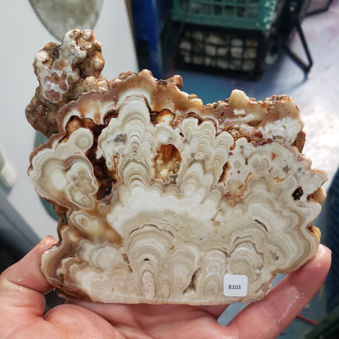 Kokoweef Cave Onyx Slab