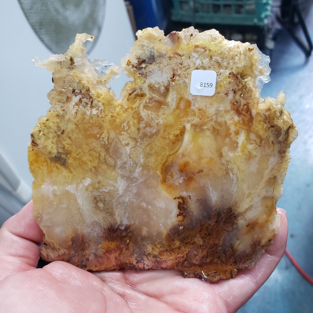 Feather Ridge Plume Agate Slab