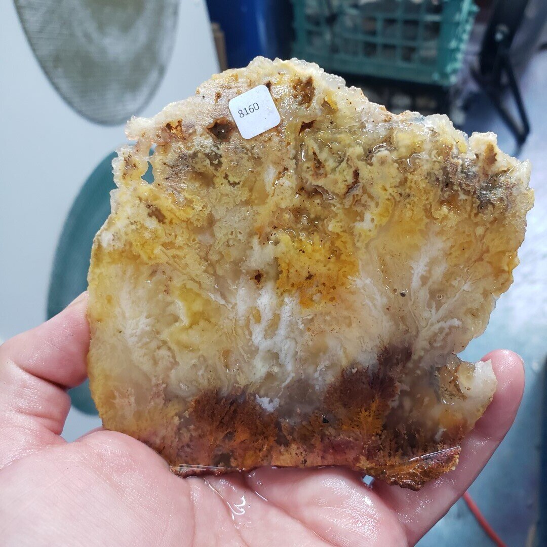 Feather Ridge Plume Agate Slab