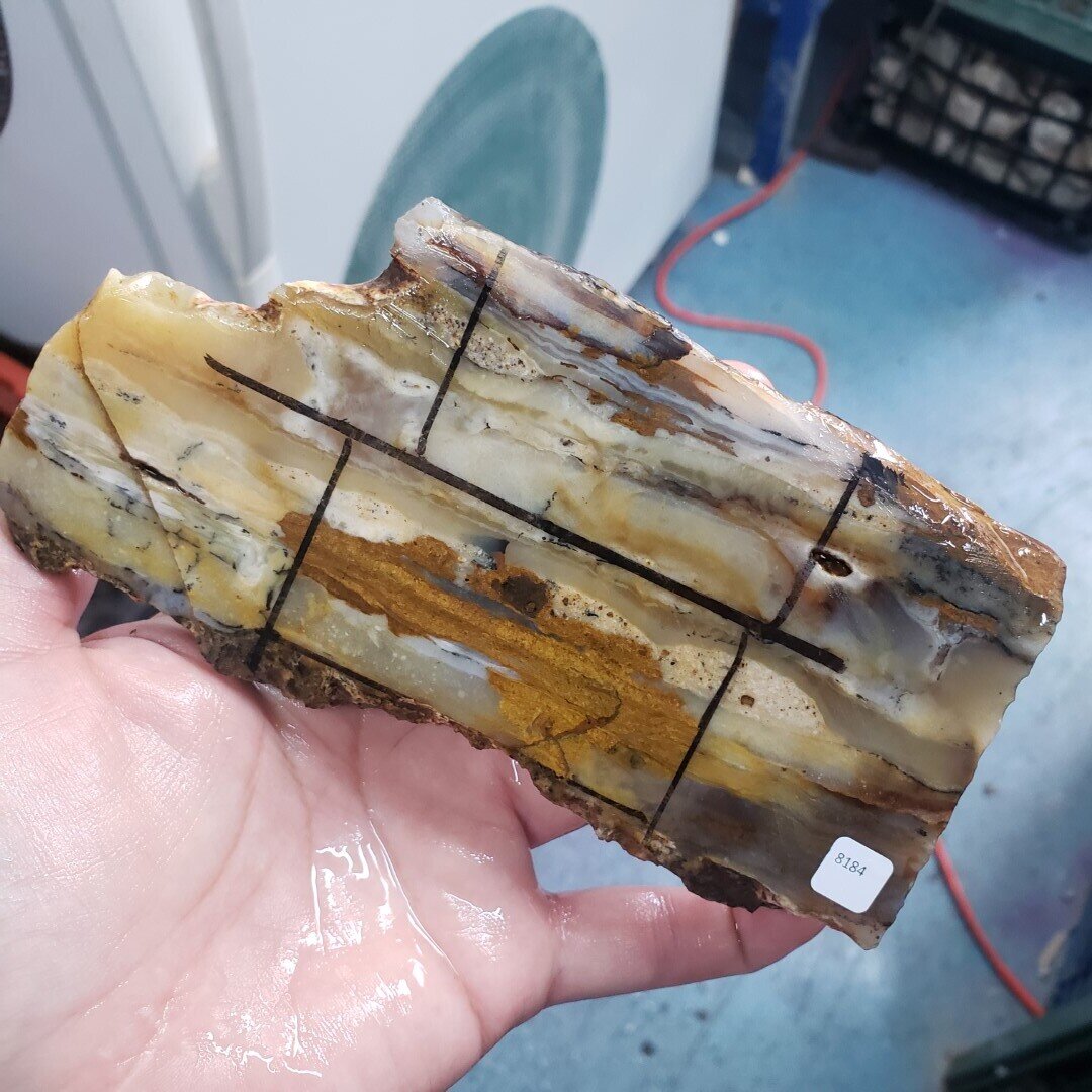 Indonesian Petrified Wood Slab