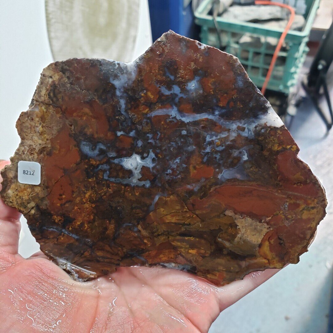 Breciatted Jasper Agate Slab