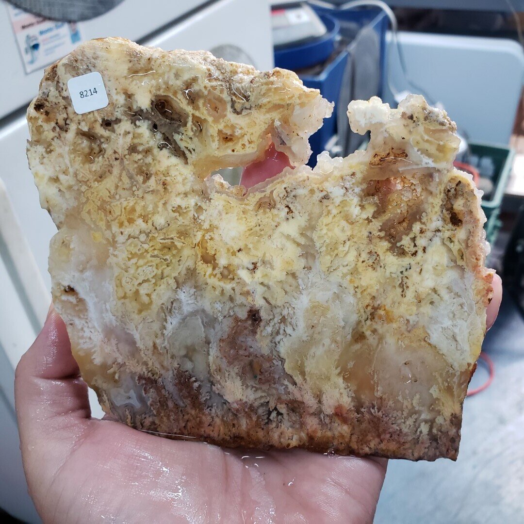 Feather Ridge Plume Agate Slab