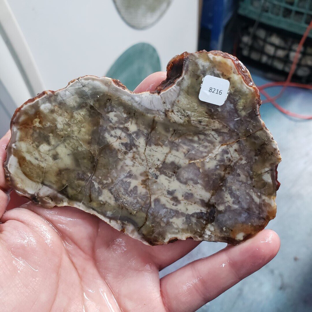 Mystery Jasper Agate Slab
