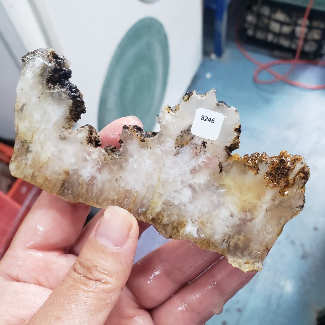 Feather Ridge Plume Agate Slab