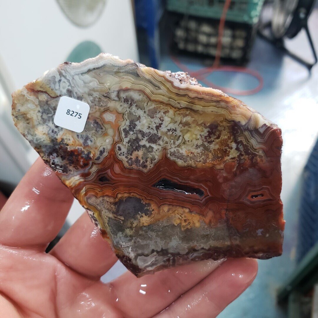Laguna Lace Agate Slab