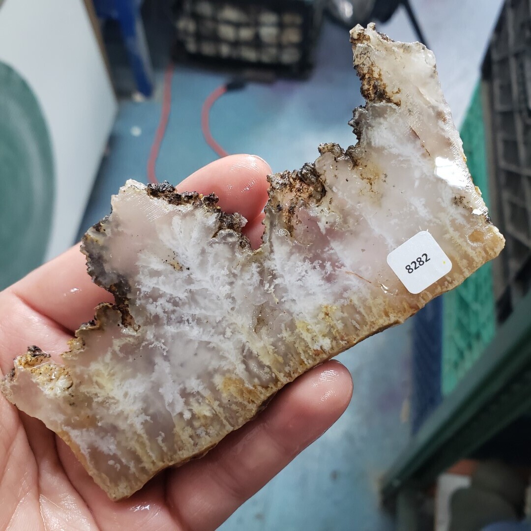 Feather Ridge Plume Agate Slab