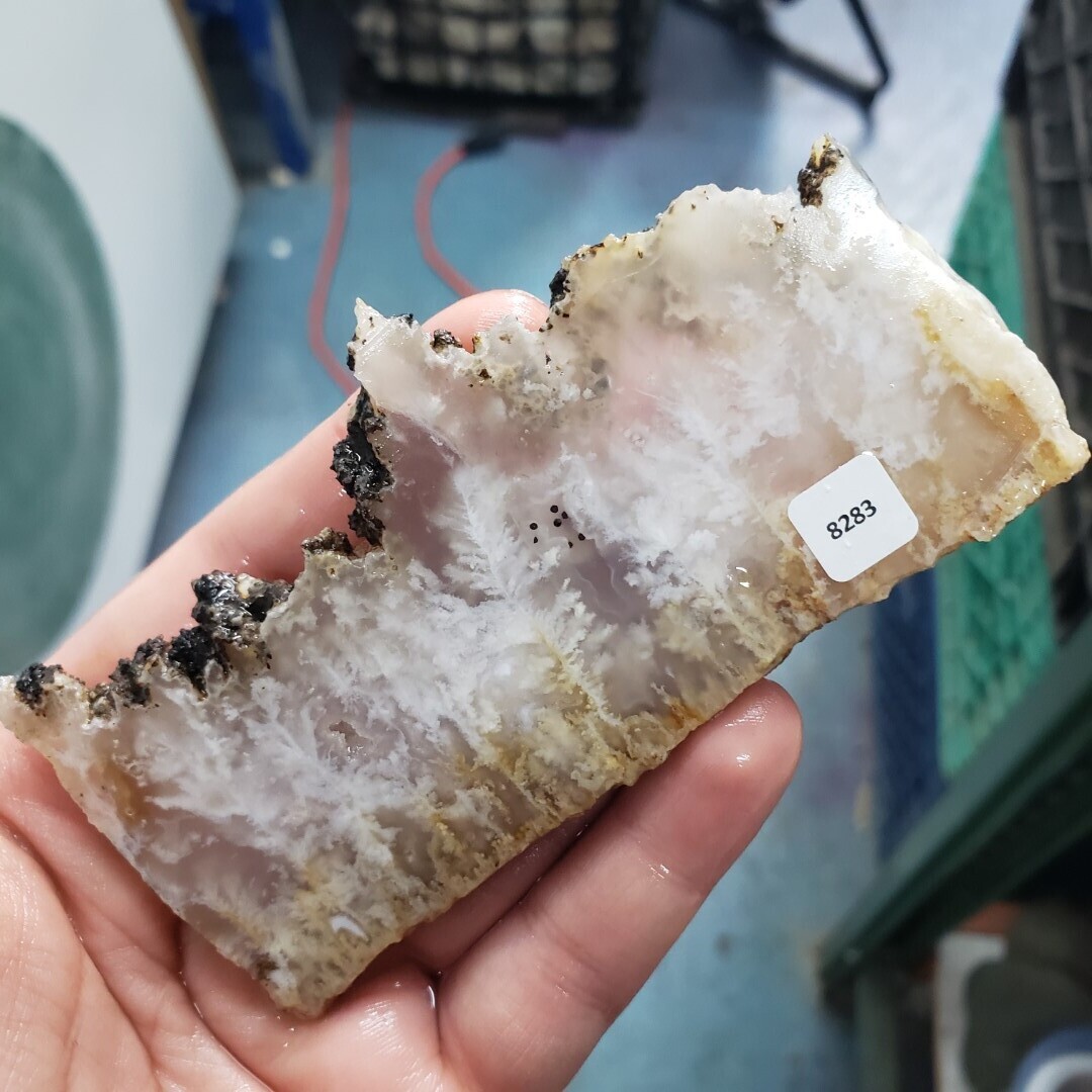 Feather Ridge Plume Agate Slab