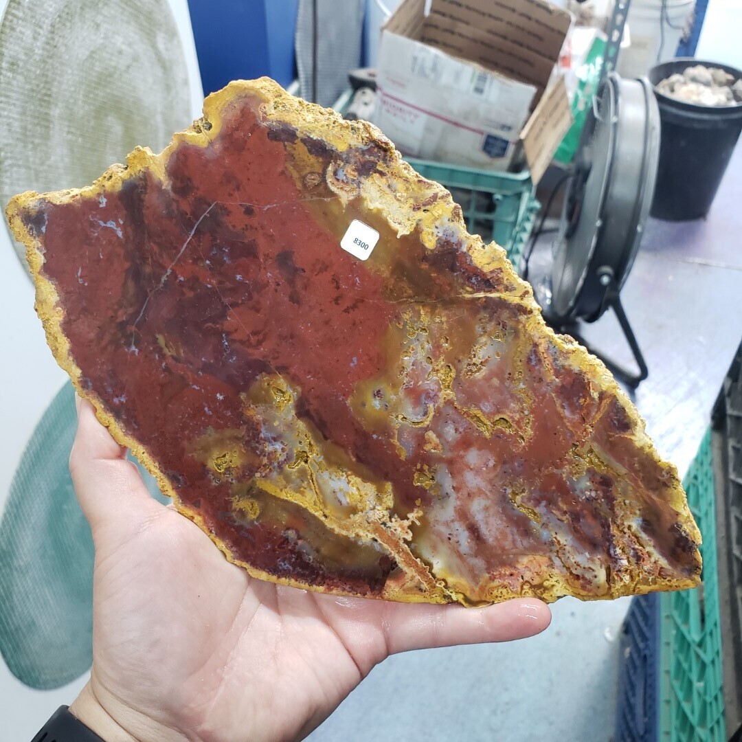 Indonesian Red Moss Agate Slab