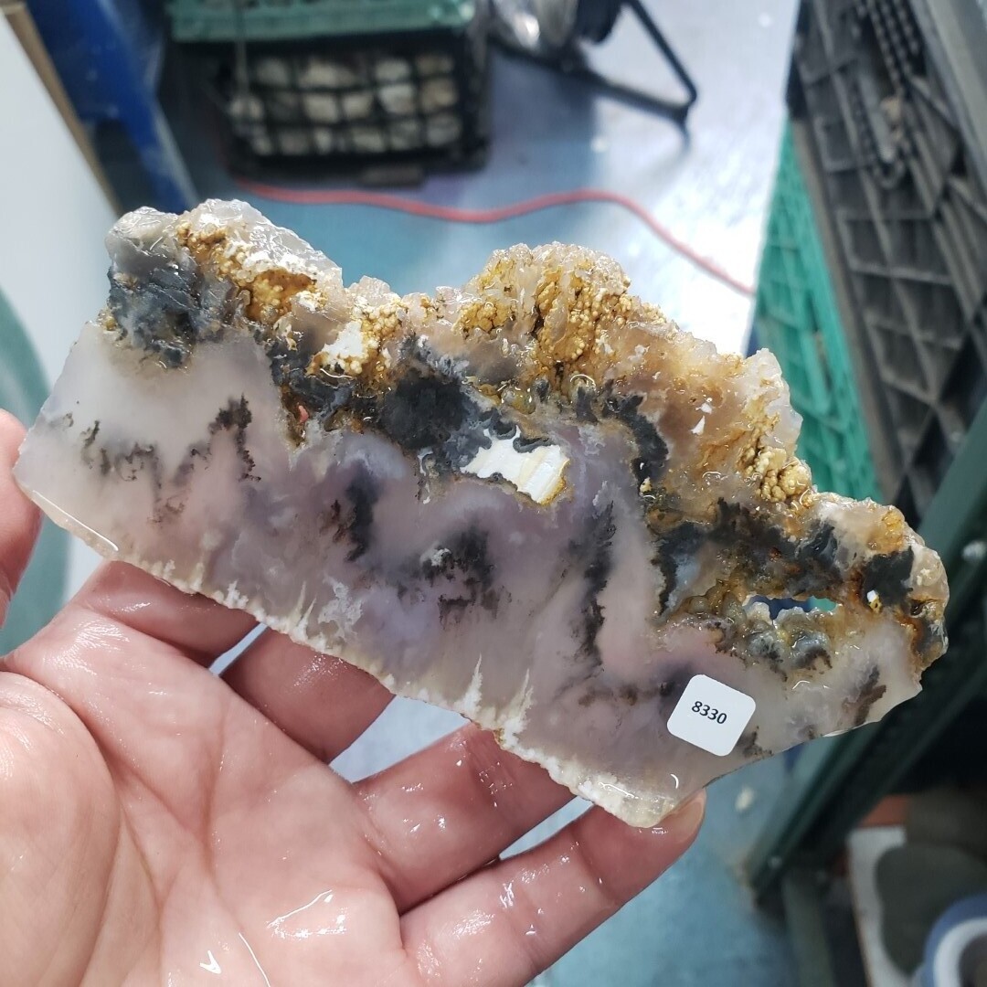Graveyard Point Plume Agate Slab