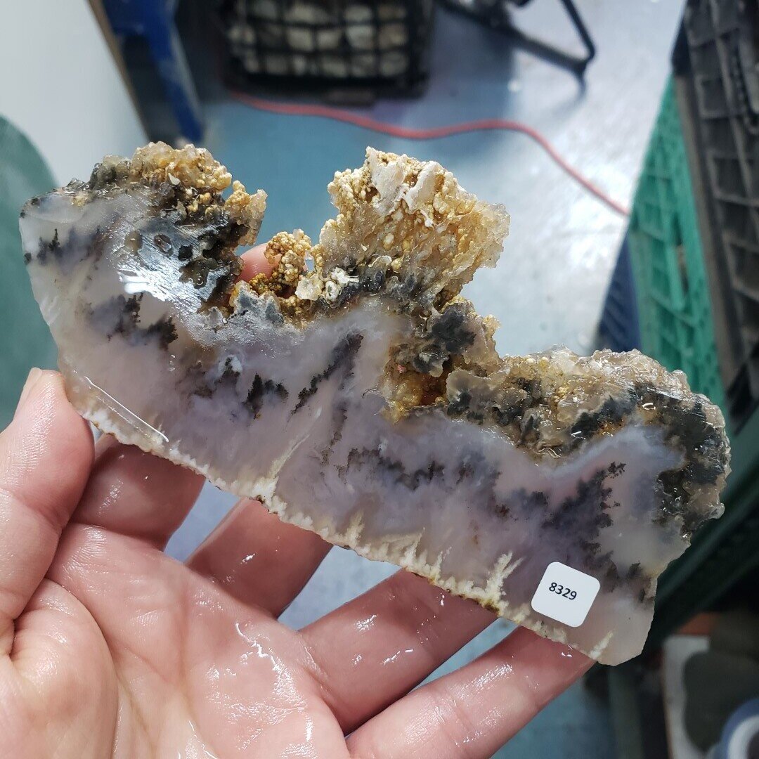 Graveyard Point Plume Agate Slab