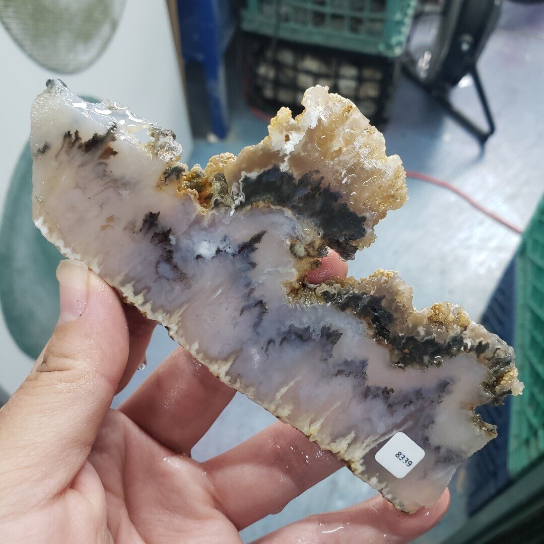 Graveyard Point Plume Agate Slab