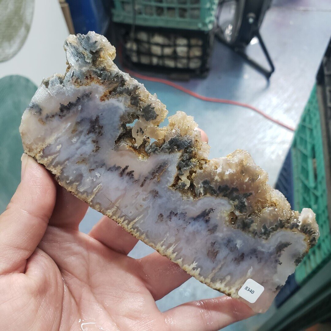 Graveyard Point Plume Agate Slab