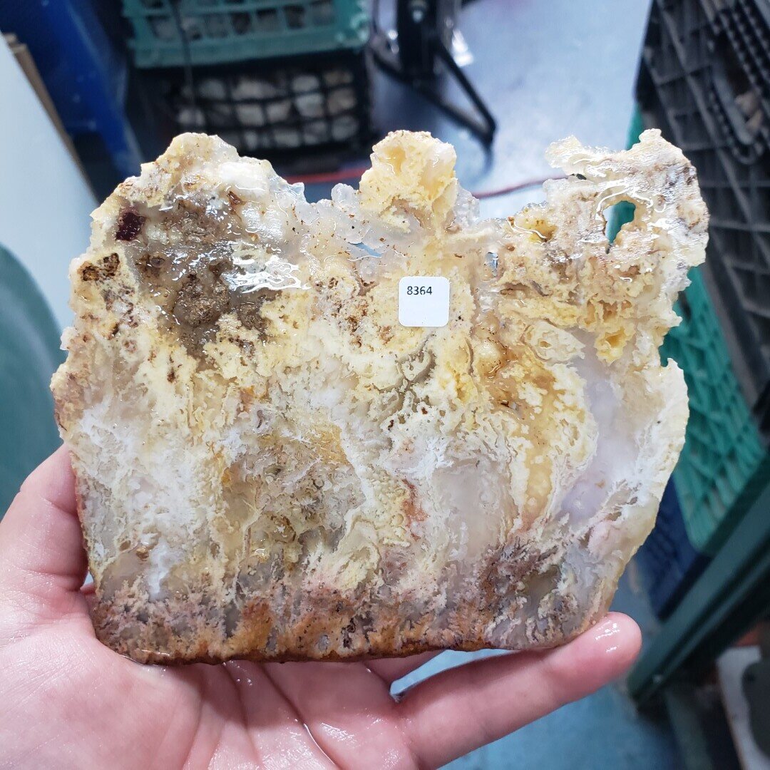 Feather Ridge Plume Agate Slab