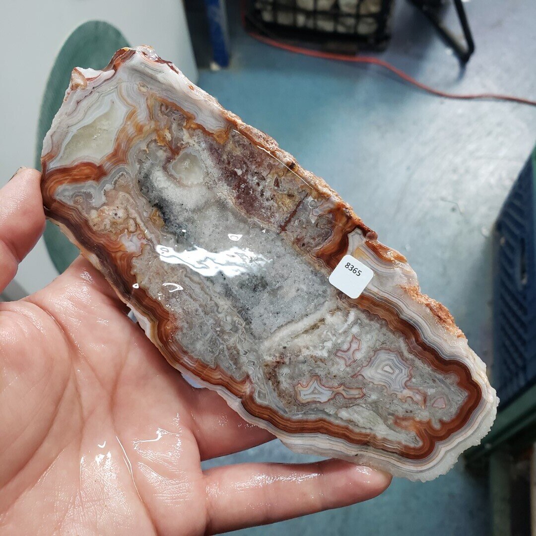 Laguna Lace Agate Slab