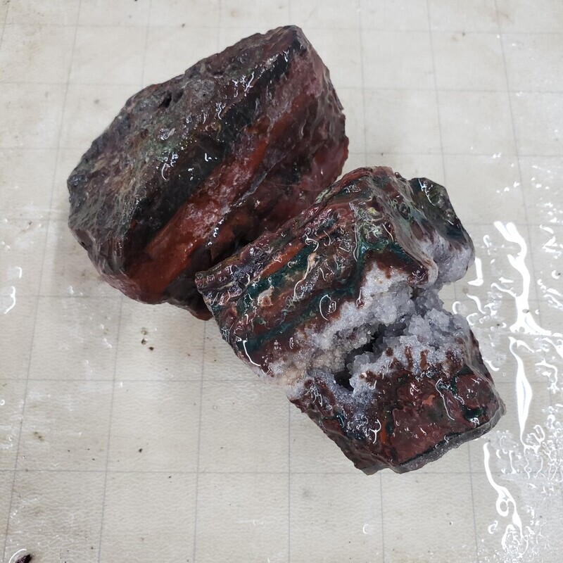 Lone Juniper Jasper Agate Rough Lot