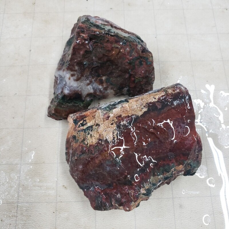 Lone Juniper Jasper Agate Rough Lot