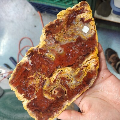 Indonesian Red Moss Agate Slab