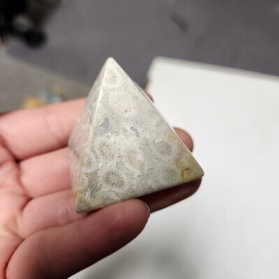 Indonesian Fossilized Coral Pyramid