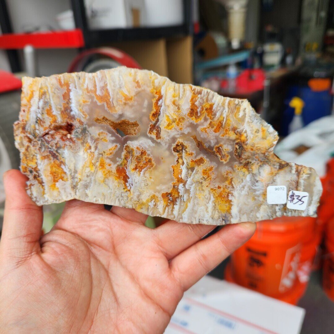 Feather Ridge Plume Agate Slab