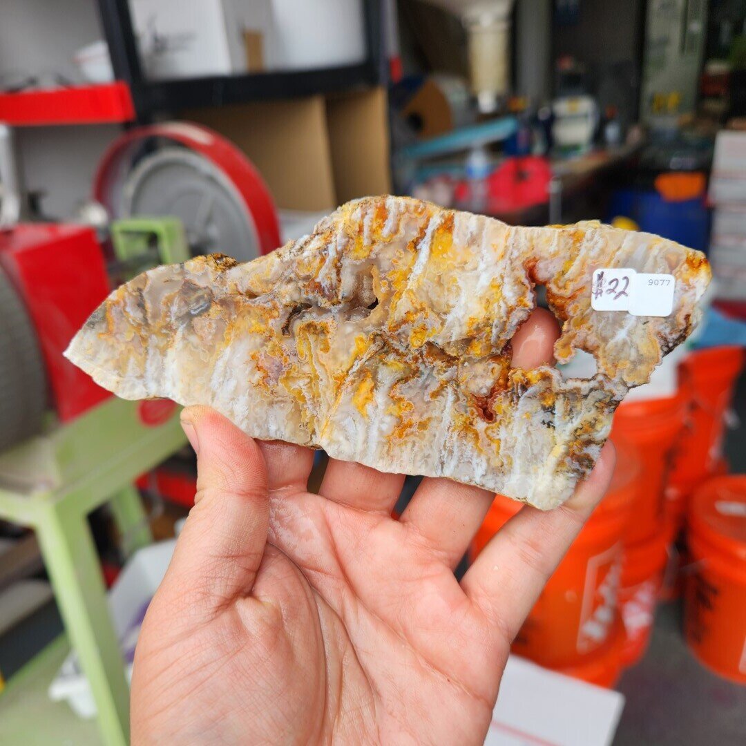 Feather Ridge Plume Agate Slab