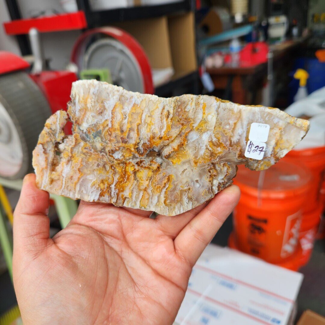 Feather Ridge Plume Agate Slab
