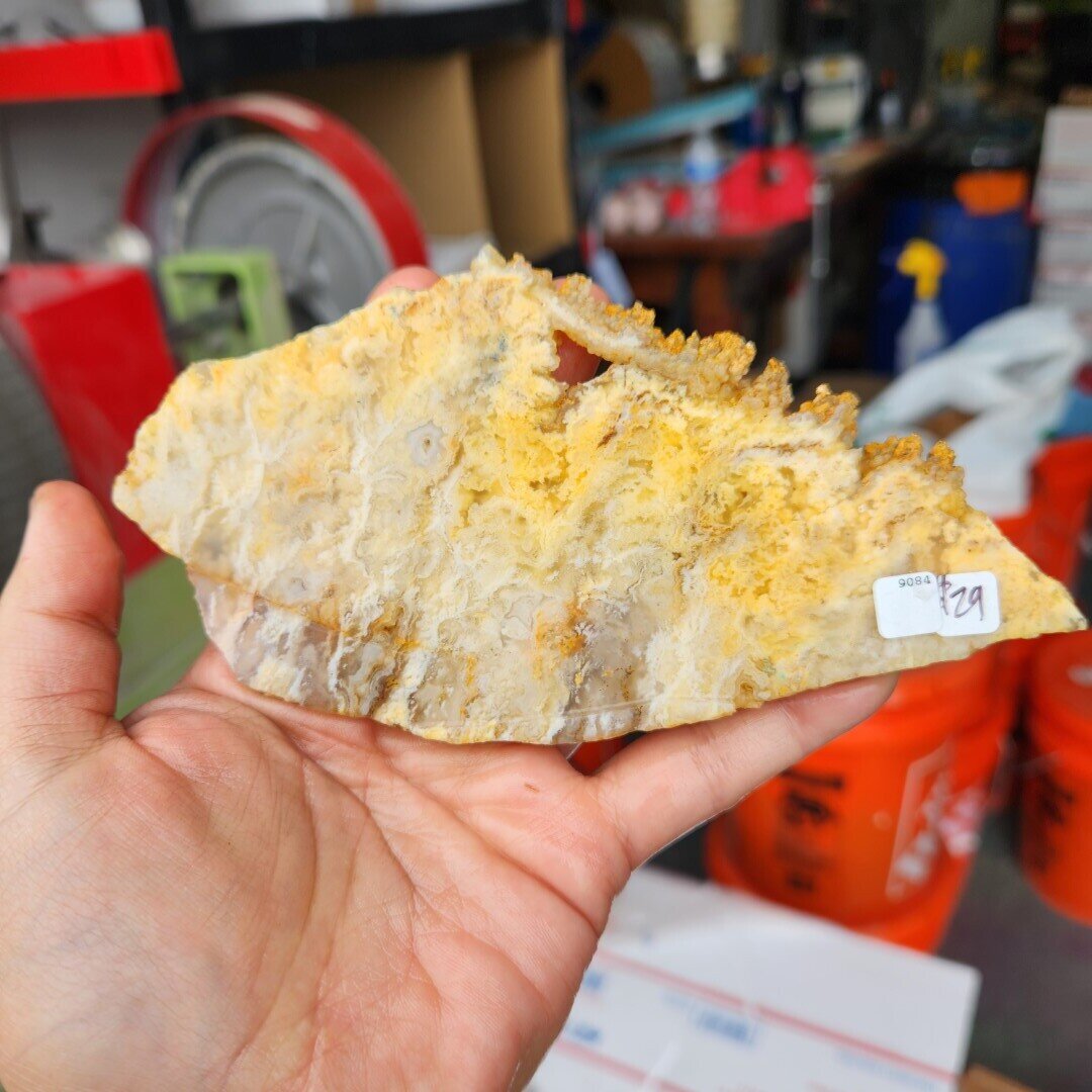 Feather Ridge Plume Agate Slab