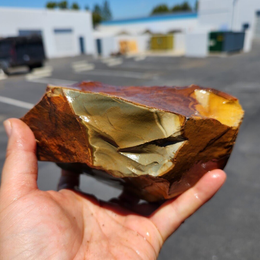 Polychrome Rough