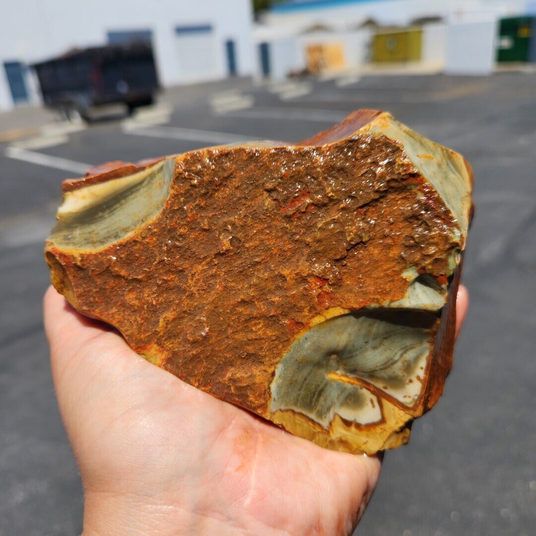 Polychrome Rough