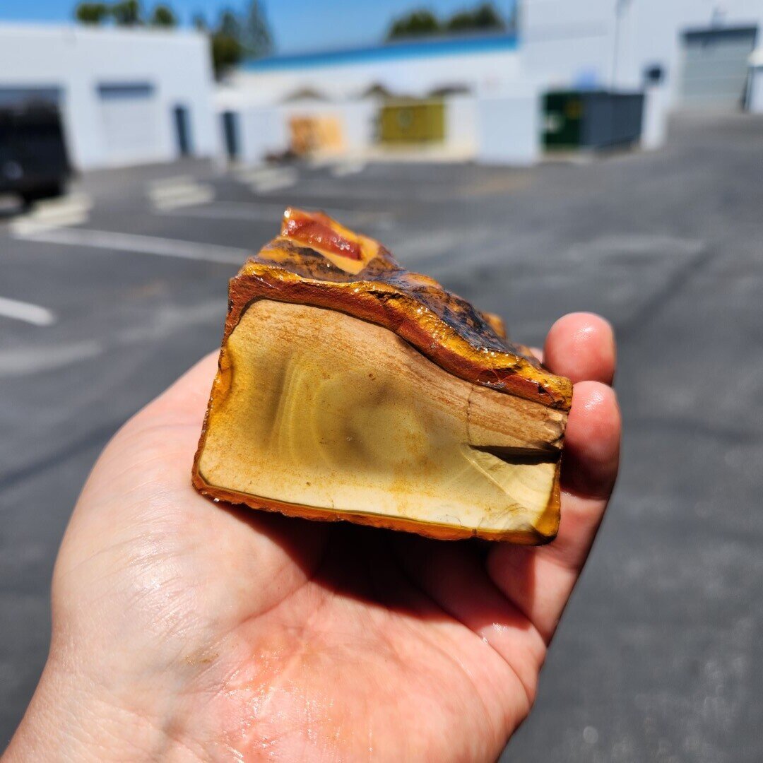 Polychrome Rough