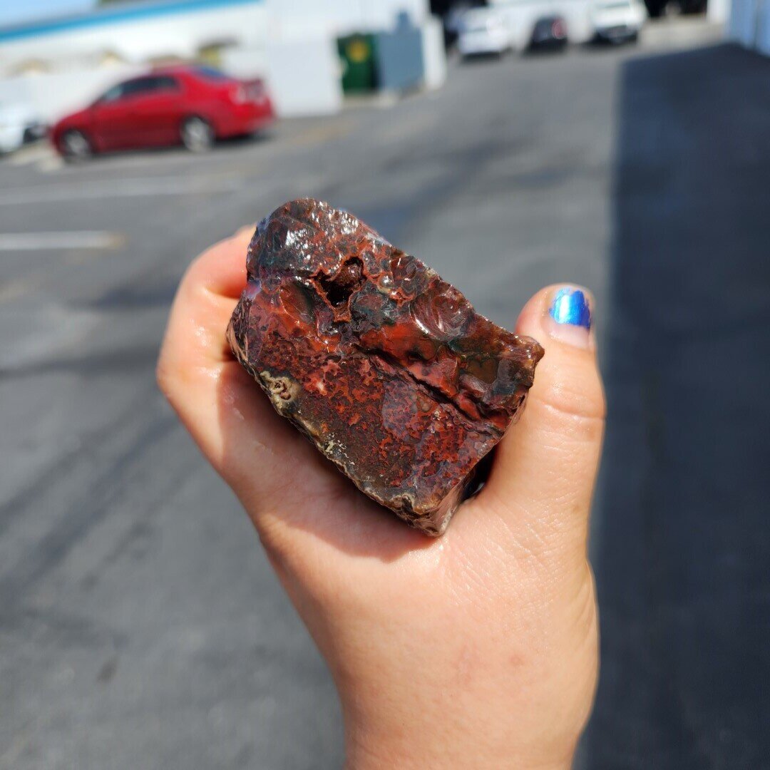 Lone Juniper Jasper Agate Rough