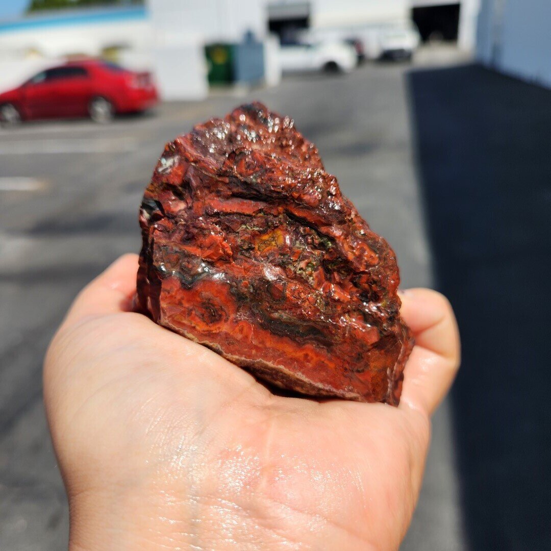Lone Juniper Jasper Agate Rough