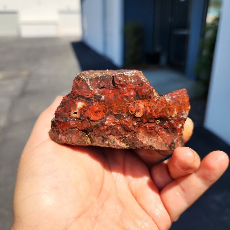 Lone Juniper Jasper Agate Rough