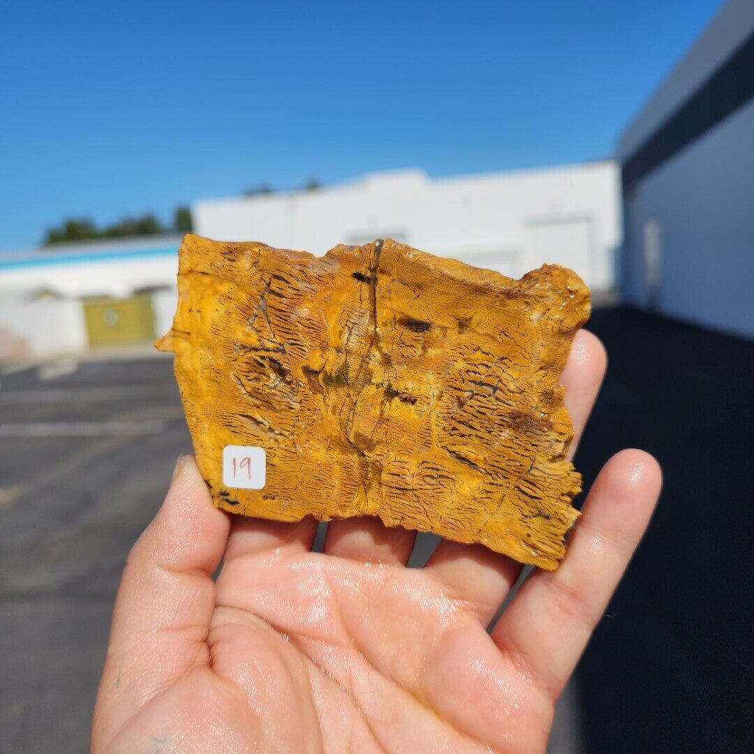 Howardite Slab
