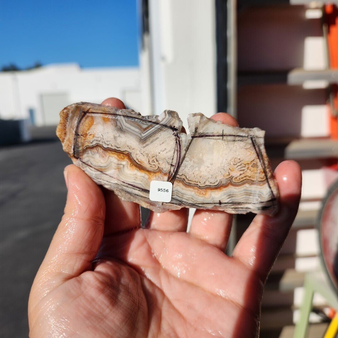 Crazy Lace Agate Slab