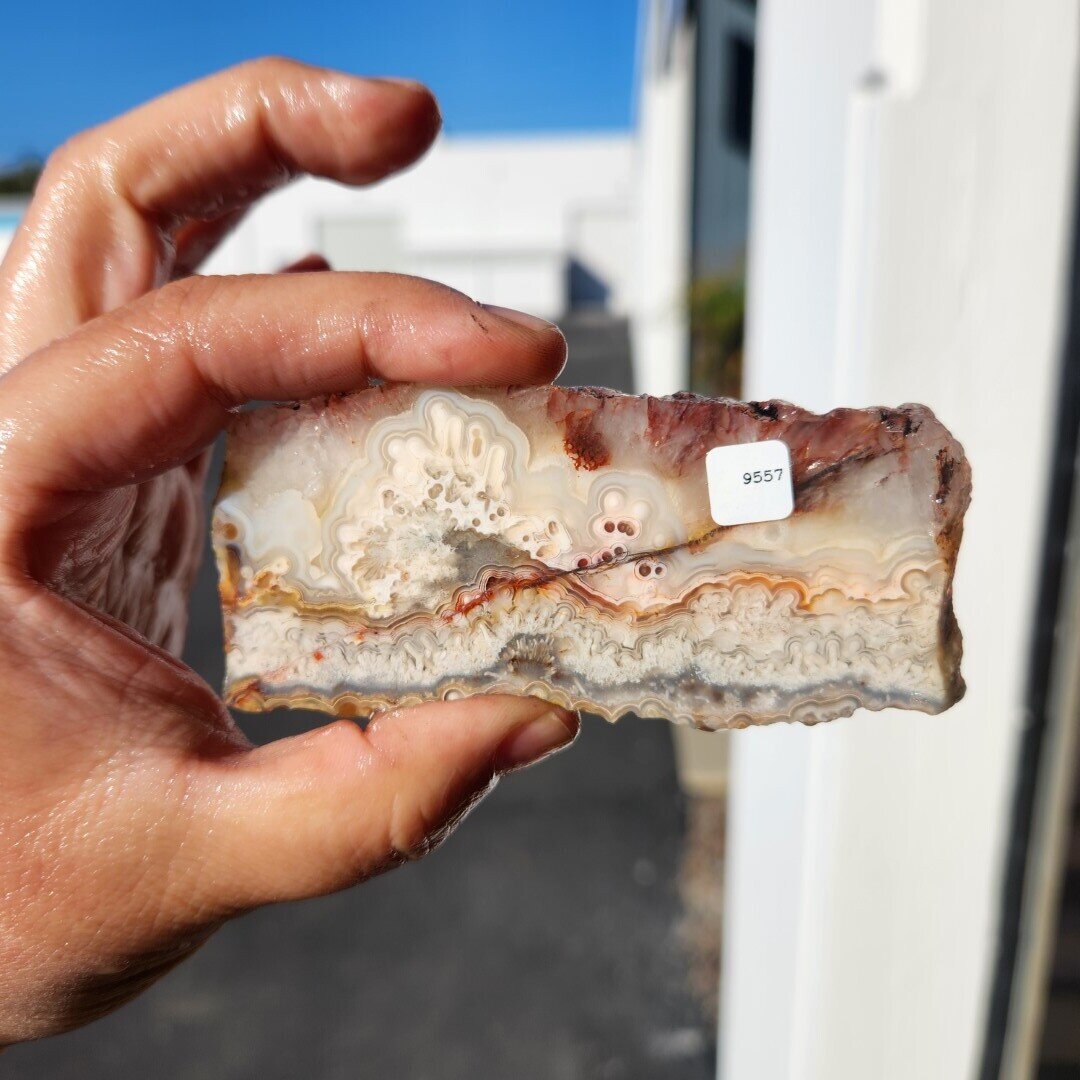 Crazy Lace Agate Slab