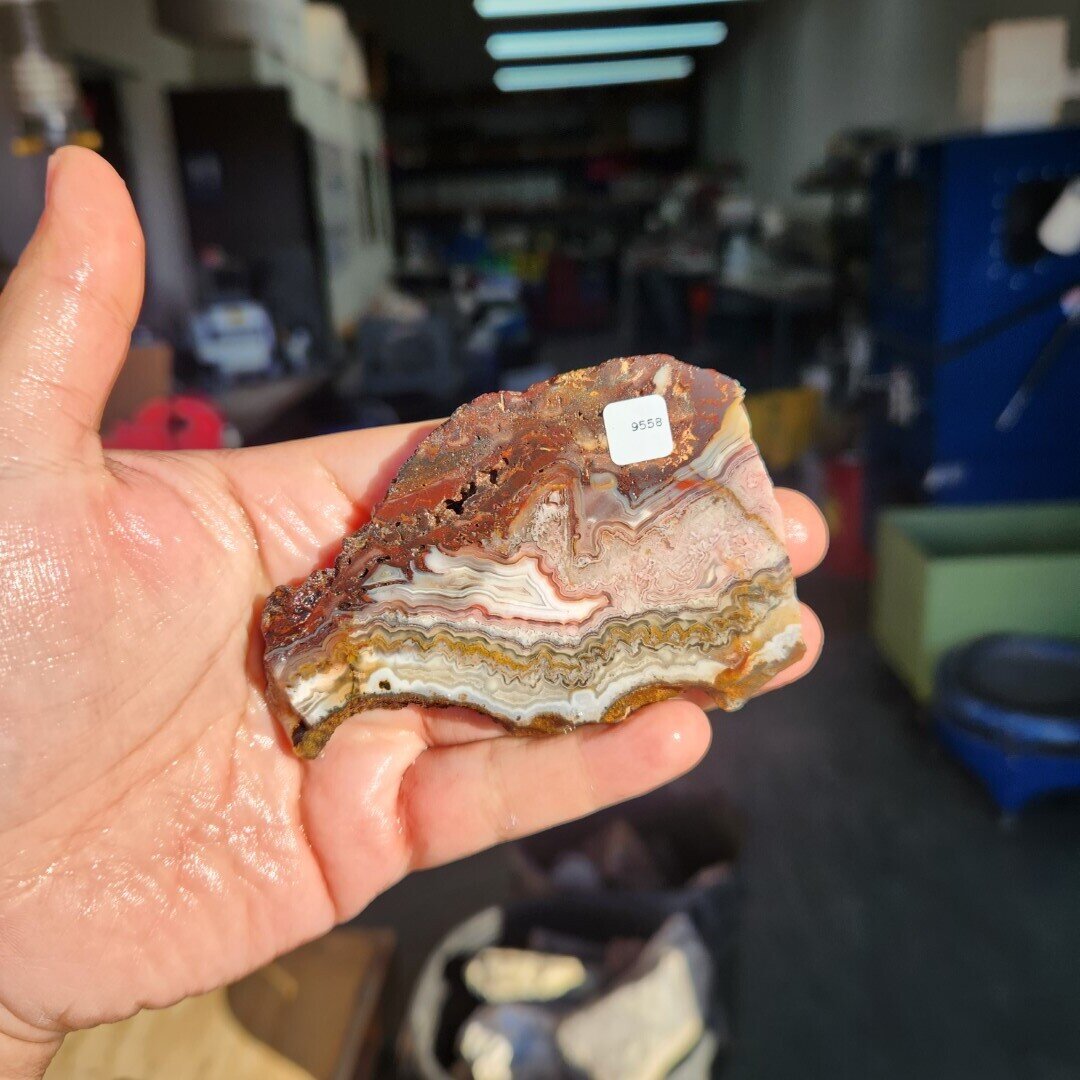 Crazy Lace Agate Slab