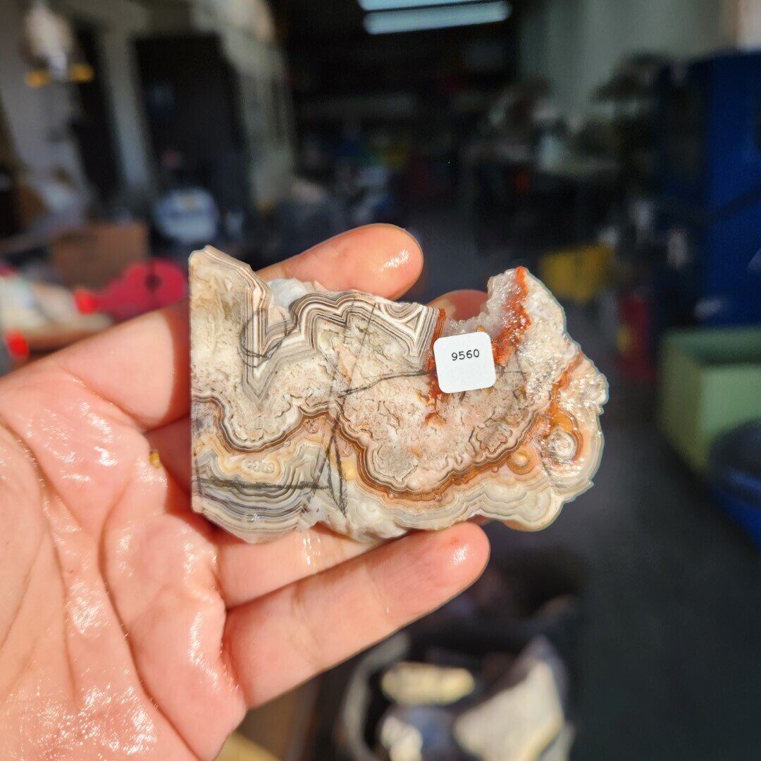 Crazy Lace Agate Slab
