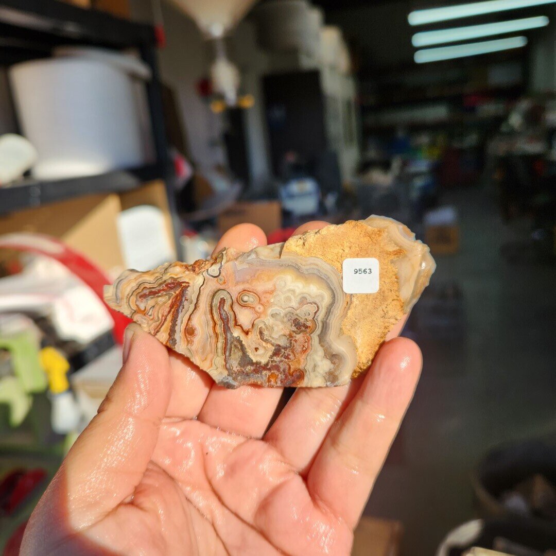 Crazy Lace Agate Slab