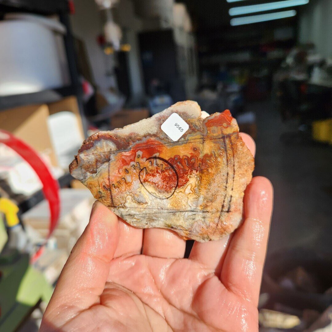 Crazy Lace Agate Slab