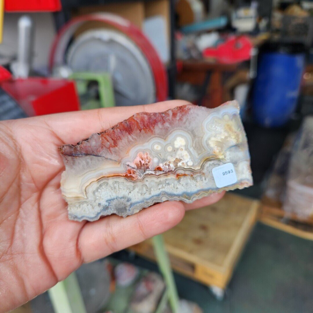 Crazy Lace Agate Slab