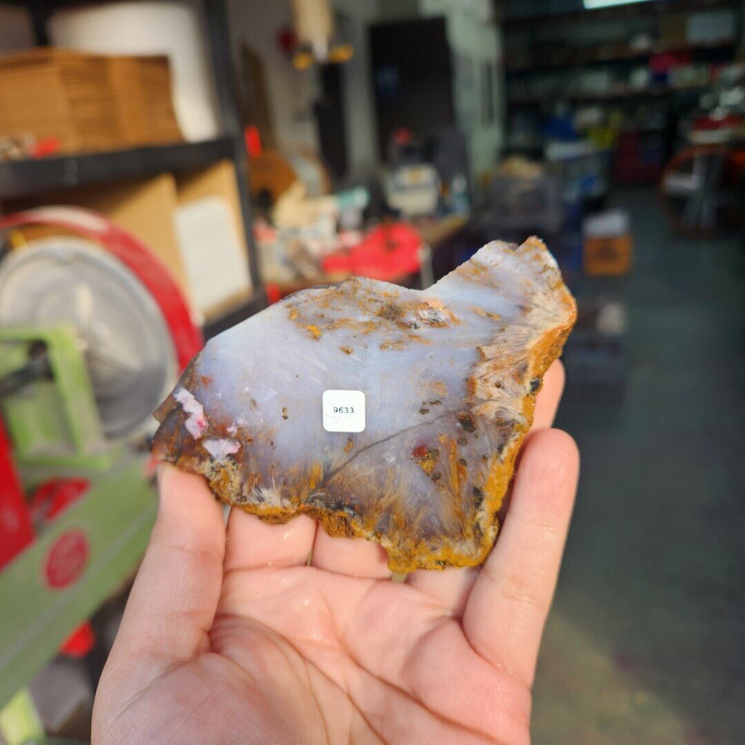 Sagenite Agate Slab