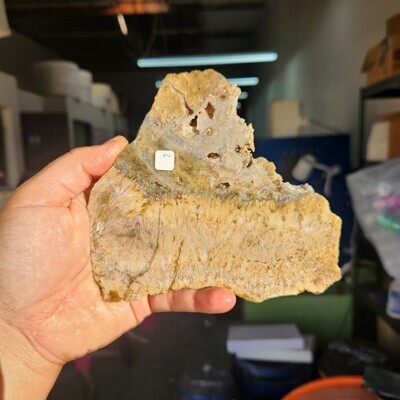Sagenite Slab